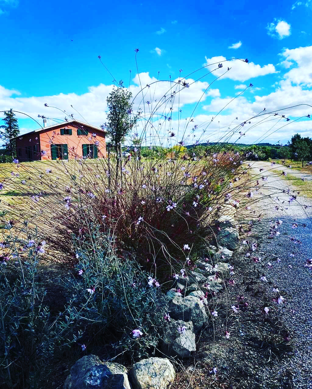 Il giardino intorno alla Villa